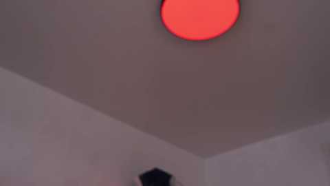 variety_moments @ chaturbate on 20250616