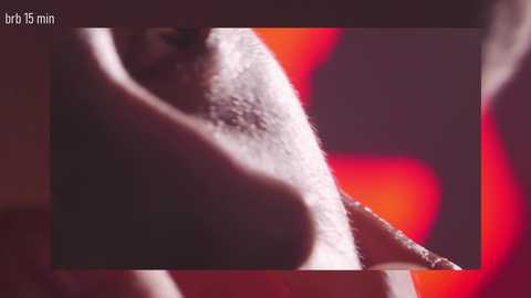 taanni_bc @ chaturbate on 20250617