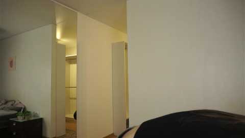 Media: bananini_anallove Chaturbate 2025-06-18 17:40:00