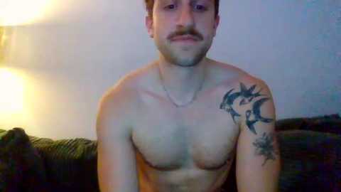 Media: ronniebabe17 Chaturbate 2025-06-18 02:57:00