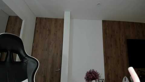 Media: camilagomezz Chaturbate 2025-06-19 21:54:00