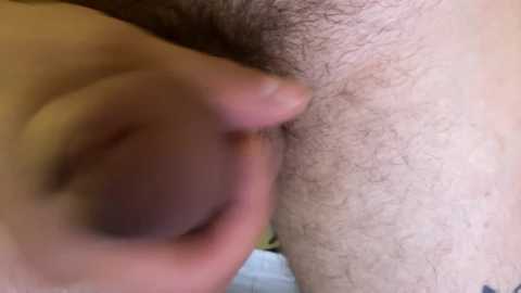 eitanhere @ chaturbate on 20250619