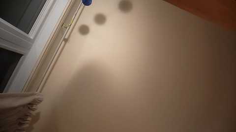 Media: preetybeepop Chaturbate 2025-06-19 01:59:00