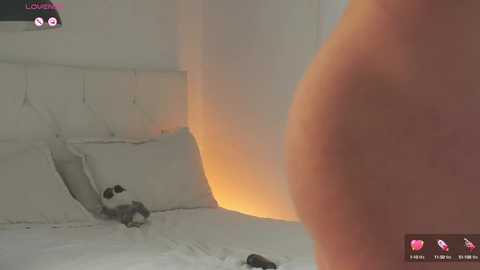timmyshy @ chaturbate on 20250619