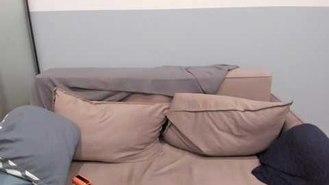 your_shy_guy @ chaturbate on 20250619