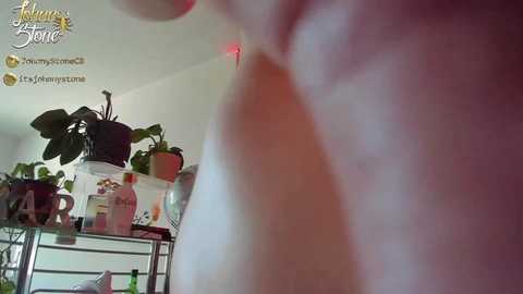 thejohnnystone @ chaturbate on 20250620