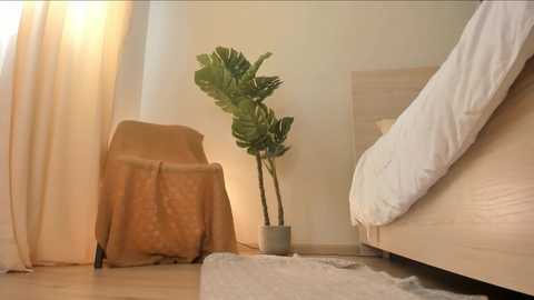w1xll @ chaturbate on 20250620