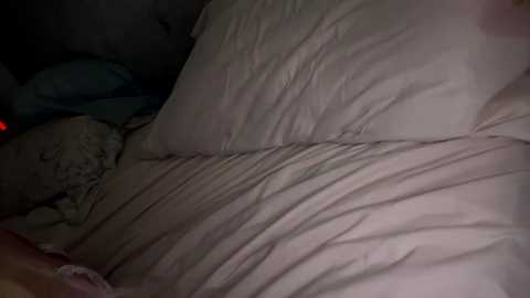 x_dreamgirl_x @ chaturbate on 20250620