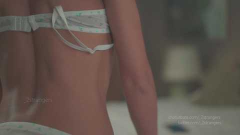 _2strangers @ chaturbate on 20250621