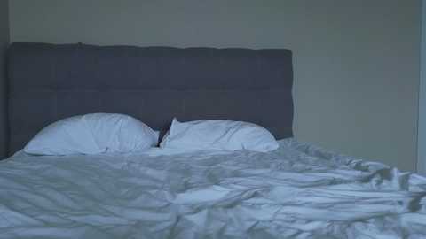 a_p_p_l_e @ chaturbate on 20250621