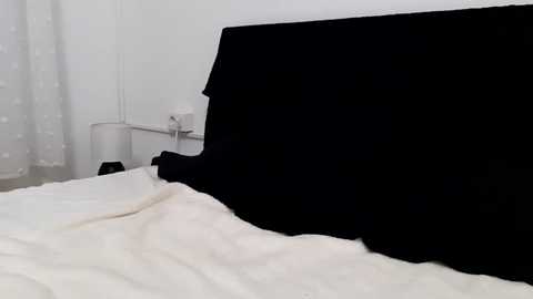 apollobest77 @ chaturbate on 20250621