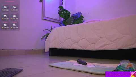 calypso_and_ge1 @ chaturbate on 20250621