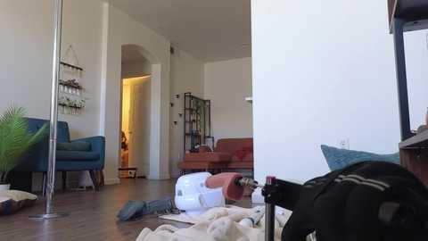 nakedpaint245477 @ chaturbate on 20250621