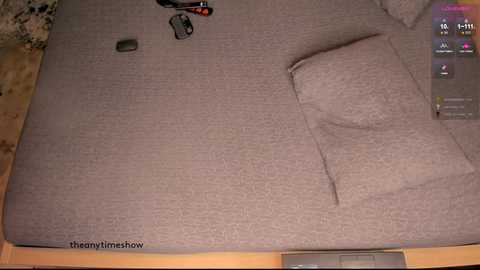 theanytimeshow @ chaturbate on 20250621