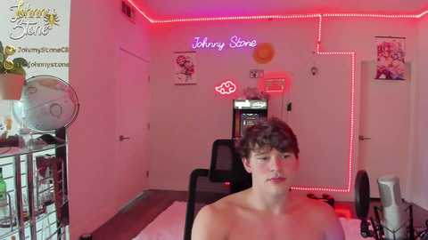 thejohnnystone @ chaturbate on 20250622