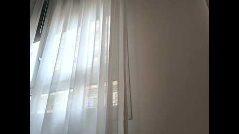joycoral @ chaturbate on 20250624