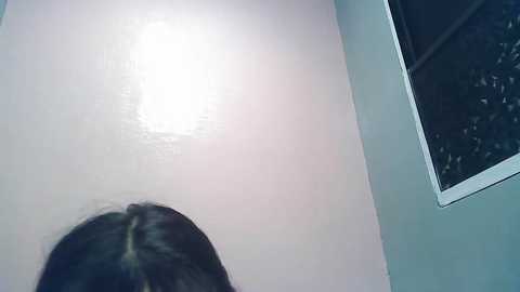 Media: sugar_bangbang18 Chaturbate 2025-06-24 21:13:00