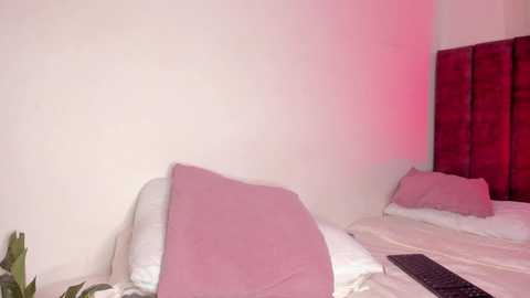 miss_melanie18 @ chaturbate on 20250625