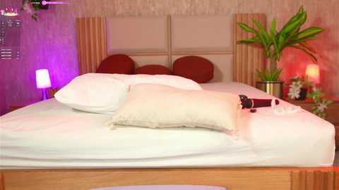 ana_maria11 @ chaturbate on 20250626