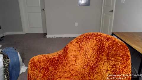 circeeve @ chaturbate on 20250626