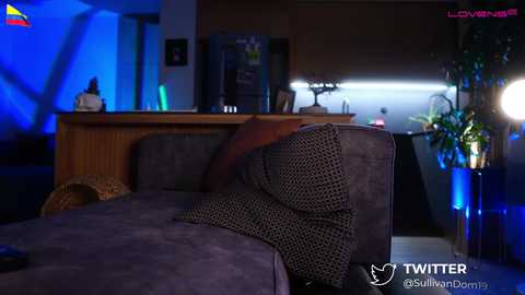 dominic_sullivan1 @ chaturbate on 20250626