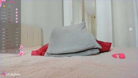 sweety_vikky @ chaturbate on 20250626