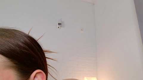 Media: elizabeth_knigh1 Chaturbate 2025-06-27 19:11:00