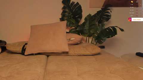 anaonasis @ chaturbate on 20250628