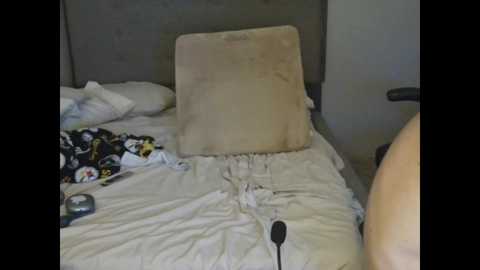 healthiest_cock @ chaturbate on 20250628
