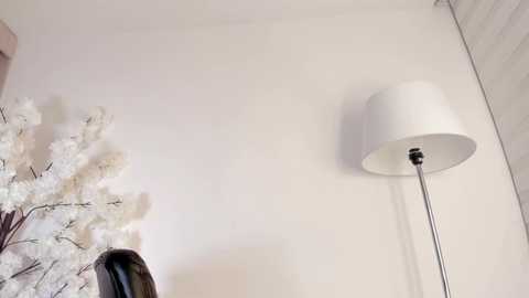 sweetsalice__ @ chaturbate on 20250628