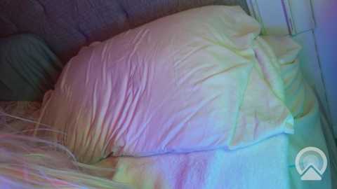 x_dreamgirl_x @ chaturbate on 20250628