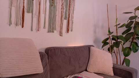 breeding_material @ chaturbate on 20250629