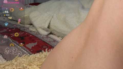 Media: olivianoir Chaturbate 2025-06-29 03:01:00