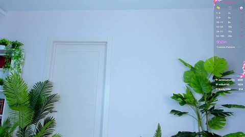 sweet__piece @ chaturbate on 20250629