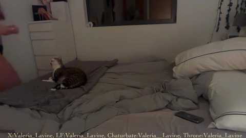 Media: valeria__lavine Chaturbate 2025-06-30 00:56:00