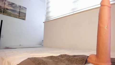 itsbellax @ chaturbate on 20250701