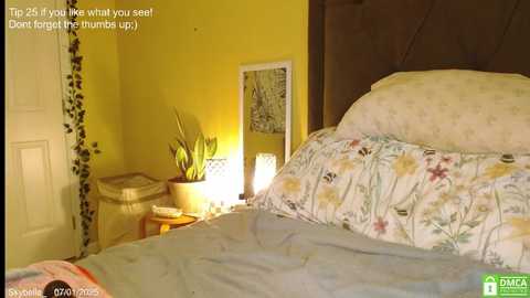 skybella_ @ chaturbate on 20250701