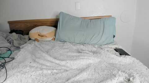 Media: audreyalien Chaturbate 2025-07-02 08:21:00