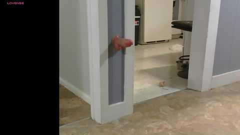 Media: boobscientist Chaturbate 2025-07-02 03:59:00