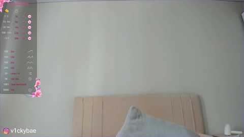 sweety_vikky @ chaturbate on 20250702
