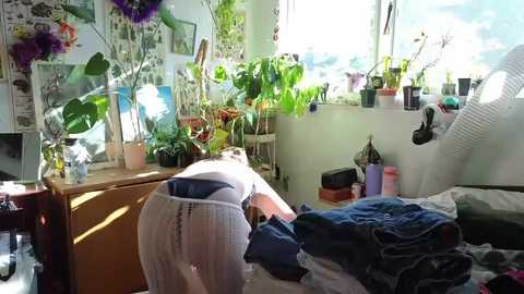 Media: tatumwest0 Chaturbate 2025-07-02 01:16:00