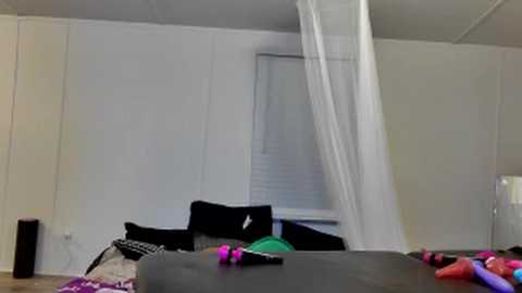 ccsethier @ chaturbate on 20250703