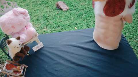 Media: kaileeshy Chaturbate 2025-07-03 05:00:00