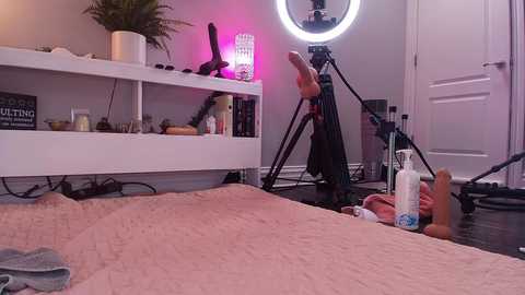 lexibby69 @ chaturbate on 20250704
