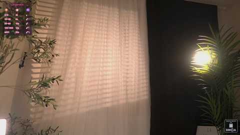 Media: myliss Chaturbate 2025-07-04 16:25:00