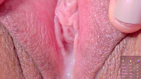 horny_moly @ chaturbate on 20250705