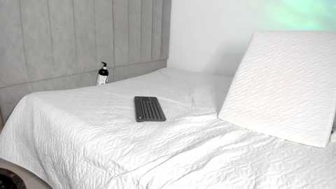 kellyfernandes @ chaturbate on 20250705