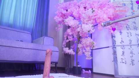 marry_cordy @ chaturbate on 20250705