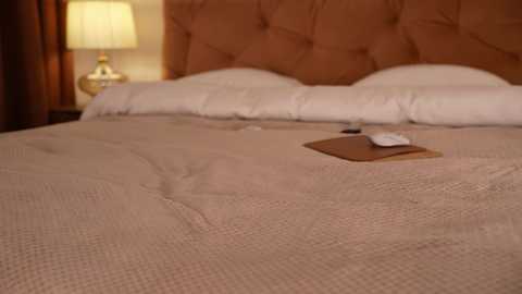 Media: roxy_blue_eyed_ Chaturbate 2025-07-05 12:35:00