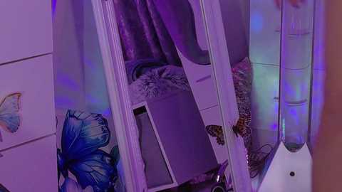 xalexax @ chaturbate on 20250705
